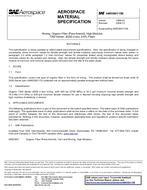 SAE AMS3901/15 Revision B SAE AMS3901/15 Revision B