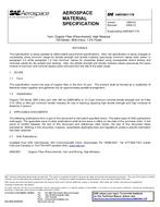 SAE AMS3901/17 Revision B SAE AMS3901/17 Revision B