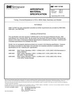 SAE AMST6736 Revision B SAE AMST6736 Revision B
