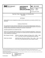 SAE AMSS8949 Revision B SAE AMSS8949 Revision B