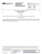SAE AMS3571/6 Revision C
