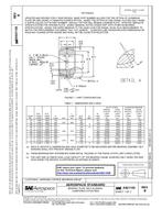 SAE AS21155 Revision B SAE AS21155 Revision B