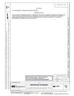 SAE AS55 Revision B