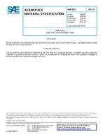 SAE AMS3823 Revision E SAE AMS3823 Revision E