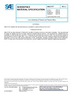SAE AMS2775 Revision C SAE AMS2775 Revision C