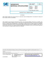 SAE AMSI83387 Revision B SAE AMSI83387 Revision B