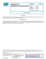 SAE AMS3160 Revision J SAE AMS3160 Revision J