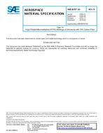 SAE AMS3678/10 Revision B