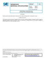 SAE AMS3802 Revision F SAE AMS3802 Revision F