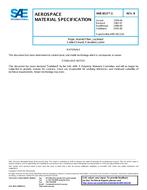 SAE AMS3813/1 Revision B SAE AMS3813/1 Revision B