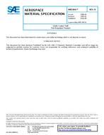 SAE AMS3841 Revision B