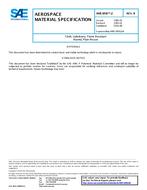 SAE AMS3856/2 Revision B SAE AMS3856/2 Revision B