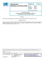 SAE AMS3787/8 Revision C SAE AMS3787/8 Revision C