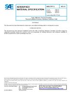 SAE AMS3779/1 Revision B SAE AMS3779/1 Revision B