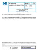 SAE AMS3904/11 Revision B SAE AMS3904/11 Revision B