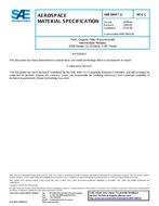SAE AMS3904/3 Revision C