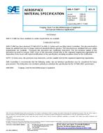 SAE AMSF7190 Revision B SAE AMSF7190 Revision B