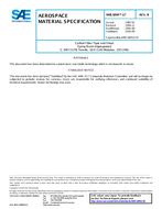 SAE AMS3894/17 Revision B SAE AMS3894/17 Revision B
