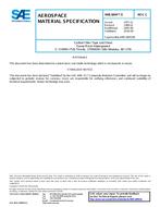 SAE AMS3894/5 Revision C SAE AMS3894/5 Revision C
