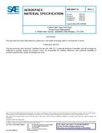 SAE AMS3894/9 Revision C SAE AMS3894/9 Revision C