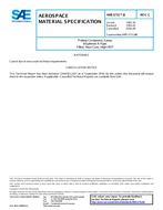 SAE AMS3731/8 Revision C