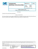 SAE AMS3731/9 Revision C SAE AMS3731/9 Revision C