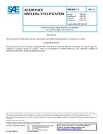 SAE AMS3801/2 Revision C