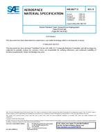 SAE AMS3867/5 Revision B SAE AMS3867/5 Revision B
