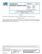 SAE AMS3906/7 Revision C SAE AMS3906/7 Revision C