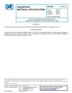 SAE AMS3906 Revision C SAE AMS3906 Revision C