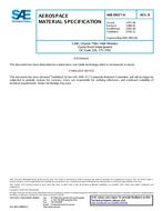 SAE AMS3903/4 Revision B SAE AMS3903/4 Revision B