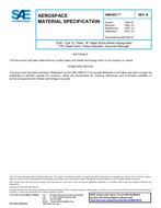 SAE AMS3831 Revision B