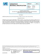 SAE AMS4335 Revision A