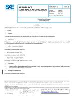 SAE AMS2451/6 Revision B SAE AMS2451/6 Revision B