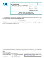 SAE AMS3799/4 Revision D SAE AMS3799/4 Revision D