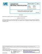 SAE AMSDTL23053/1 Revision B SAE AMSDTL23053/1 Revision B