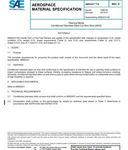 SAE AMS2431/4 Revision D