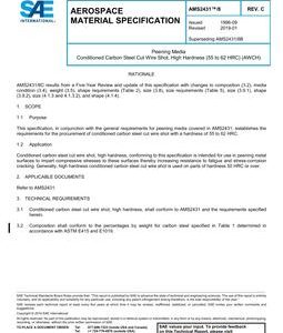 SAE AMS2431/8 Revision C
