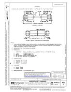 SAE AS5072/1 Revision A SAE AS5072/1 Revision A