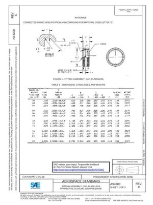 SAE AS4300C