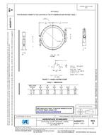 SAE AS5355/1B